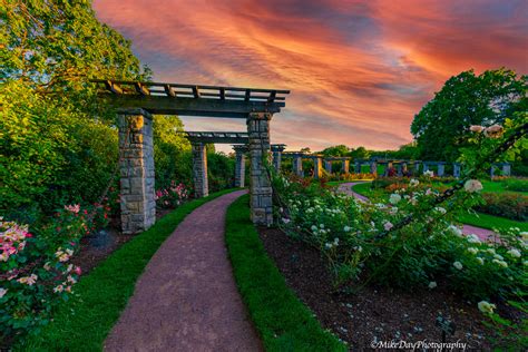 Rose Garden | Loose Park, Kansas City, Missouri Mike D. | Mike Day | Flickr