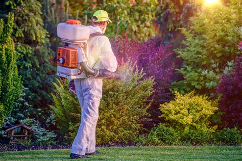 Lawn Pest Control, Sod Installation Near Me, Port St. Lucie, FL