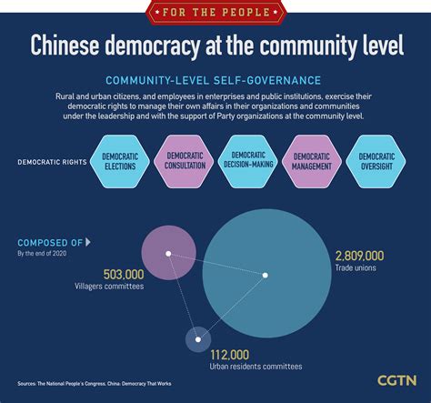 Graphics: How does China's democracy work at the community level? - CGTN