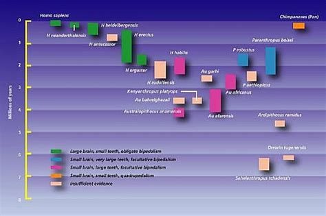 http://www.proof-of-evolution.com Great charts and graphs regarding ...