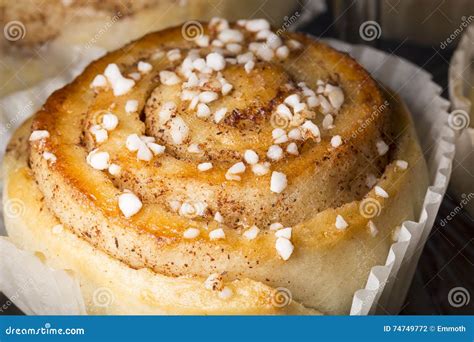 Cinnamon Roll Close Up stock photo. Image of golden, micro - 74749772