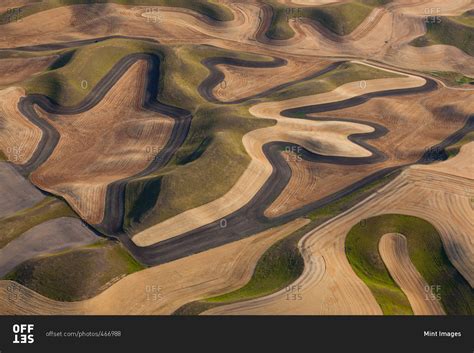 Farmland landscape, with ploughed fields and furrows in Palouse ...