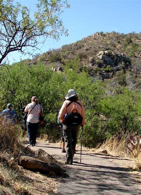 Birding Without Barriers: Madera Canyon Bird Walk With Tucson Audubon