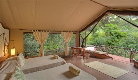 Sarara Treehouses in Kenya — SARARA | Safari Ecolodges & Foundation in ...