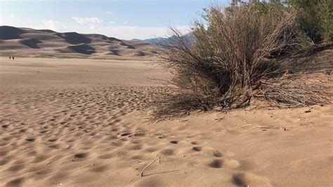 Best Trails in Great Sand Dunes National Park | AllTrails