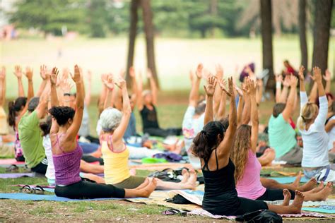 people doing yoga in a park at sunset - Rezilir Health