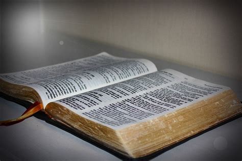 ¿Por qué ha sobrevivido la Biblia? – El Editor