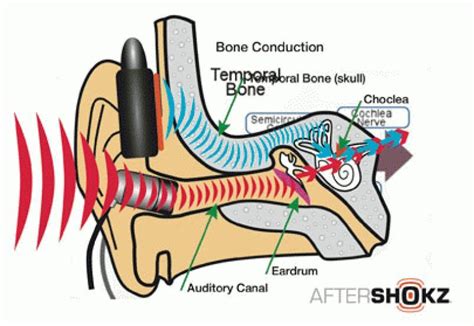 Is Bone Conduction The Future of Headphones?