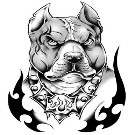 Pitbull Dog Drawing at GetDrawings | Free download