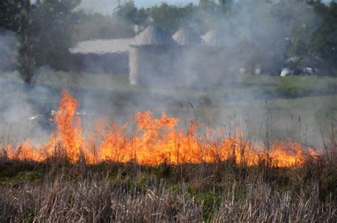 Taken For Granted: Grass Fire Pictures