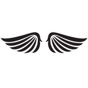 Bird Angel Wings vector | Angel Wings Vector Image, SVG, PSD, PNG, EPS, Ai Format | Vector ...