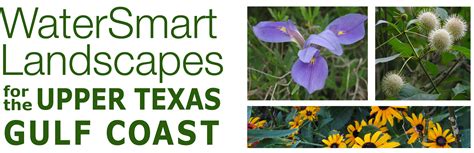 Rain Gardens | WaterSmart Landscapes for the Upper Texas Gulf Coast