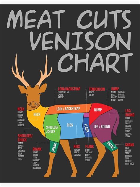 Venison Cuts Of Meat Chart