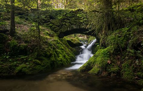 Wallpaper forest, bridge, stream, Germany, river, cascade, Germany, Black Forest, The black ...