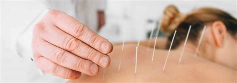 Acupuncture Practitioner – Diploma Program – International Academy of ...