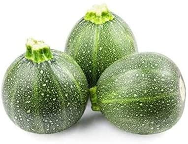 Round Zucchini Squash - Victory Gardeners