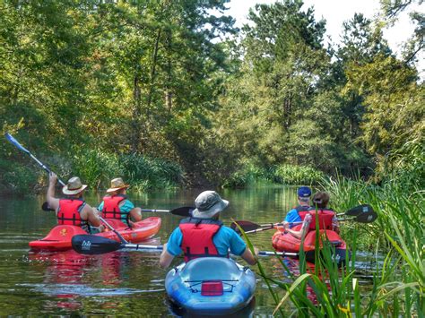 Full Flavor of the Bayou Tour - 2.5hrs to 3.5 hrs — Canoe & Trail ...