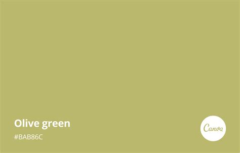 Light Olive Green Paint Deals, Save 42% | jlcatj.gob.mx