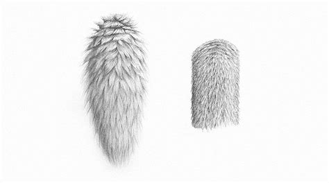 How to Draw Fur | Envato Tuts+