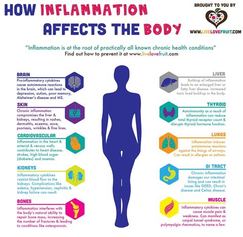 Learn How Inflammation Affects The Body (and How To Get Rid of It) - Live Love Fruit