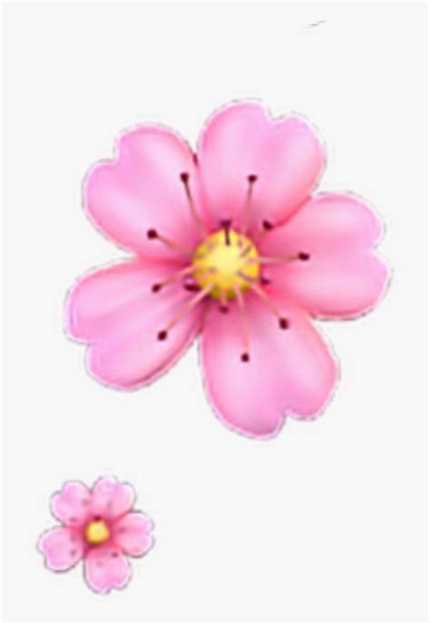 Flower Emoji Iphone Png | Best Flower Site