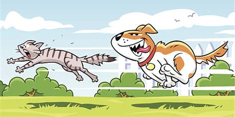 Dog Chasing Cat Illustrations, Royalty-Free Vector Graphics & Clip Art ...