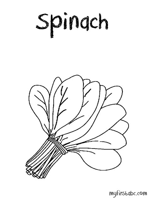 Spinach Drawing at GetDrawings | Free download