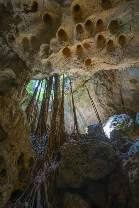 Green Grotto Caves - The Natural Beauty of Runaway Bay - The Planet D