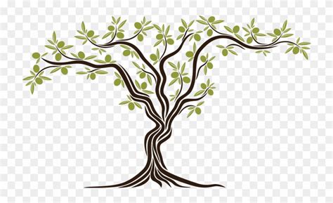 olive tree clip art 10 free Cliparts | Download images on Clipground 2024