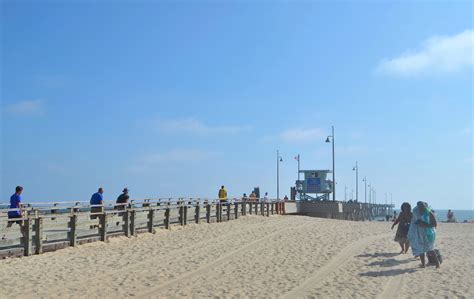 5 BEST Things to Do at Venice Beach Pier - CityBOP