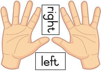 Left and Right Hands by Quanita Vassen | TPT