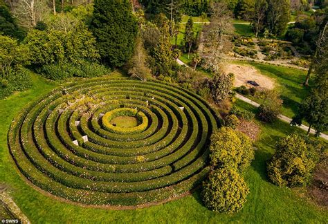 World's largest camellia maze erupts into bloom - ReadSector