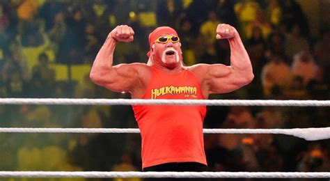 Hulk Hogan Announces Eight Month Sobriety