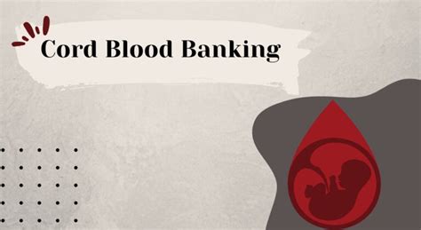 Cord Blood Banking: Pros, Cons and Costs Debunked