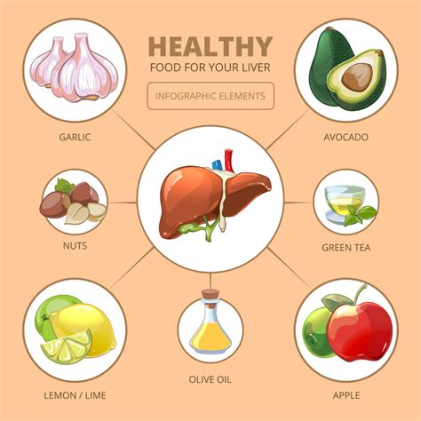 High AST Levels: Causes, Treatment, and Prevention