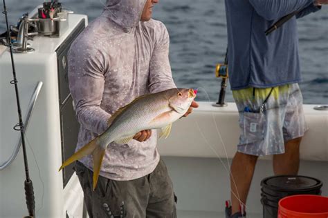 How To Rig For Yellowtail Snapper Fishing - Florida Keys | Bloodydecks