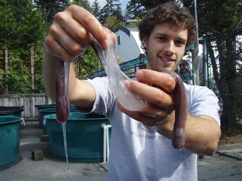 Pacific Hagfish Study | ReachOut: UBC Land and Food Systems Newsroom