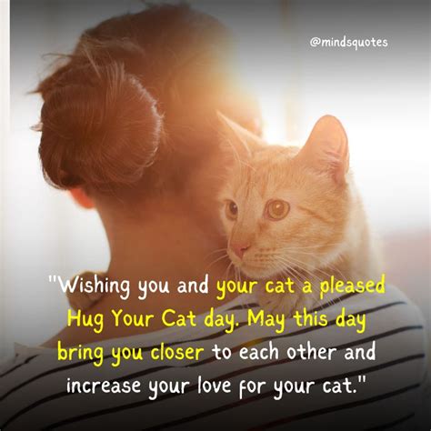 45 National Hug Your Cat Day Quotes, Wishes & Messages, Captions