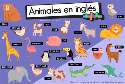 ANIMALES EN INGLÉS | Vocabulario + Ejercicios + Flashcards