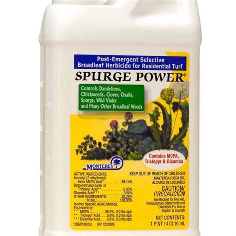 Monterey Spurge Power Herbicides 1 Pint