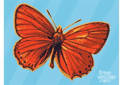 Red Butterfly - Download Free Vector Art, Stock Graphics & Images