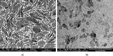 Microstructure of the Ti-6Al-4V alloy: a) CG; b) UFG; (SEM). | Download ...