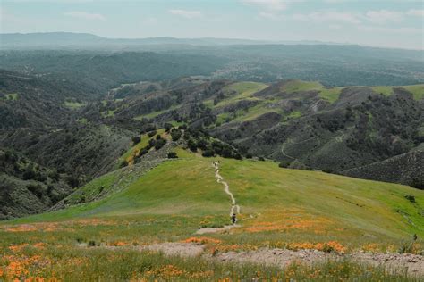 Hiking Grass Mountain – Odyssey Designs