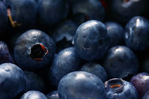 Imagem gratuita: Blueberry, alimento, frutas, baga, doce, dieta, sombra, orgânico, delicioso