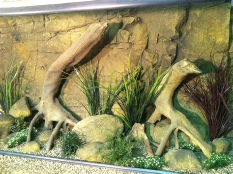 Aquarium Mangrove Roots | Aquarium & Terrarium Products | Universal Rocks