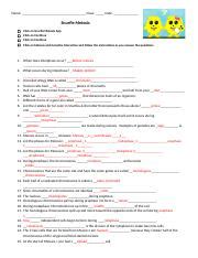 Snurfle Meiosis another WS.docx - Name: Class: Date: Snurfle Meiosis Click on Snurfle Meiosis ...