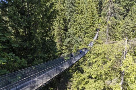 Capilano Suspension Bridge 17153866 Stock Photo at Vecteezy