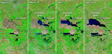 Landsat Image Gallery - Tulare Lake Grows