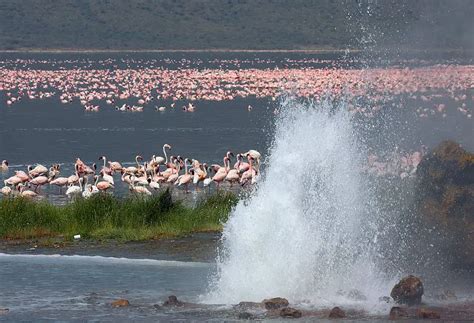 Loburu Geysers and Hot Springs, Lake Bogoria | Wondermondo