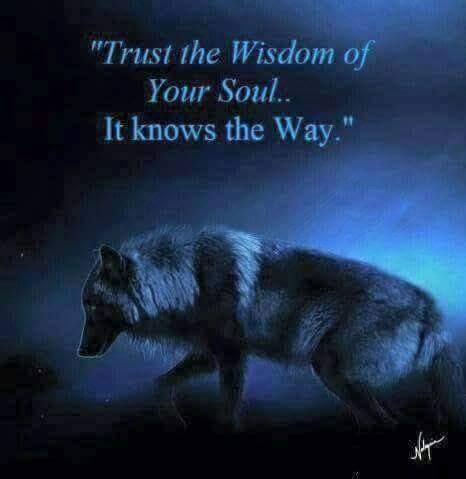 Trust the wisdom of your soul | Lone survivor quotes, Wolf quotes, Wisdom